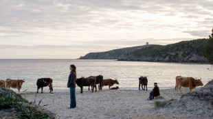 Milani, 'La vita va cos&igrave;', una commedia su dignit&agrave; e coraggio