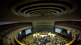 Senato brasiliano boccia legge sull' immunit&agrave; dei parlamentari