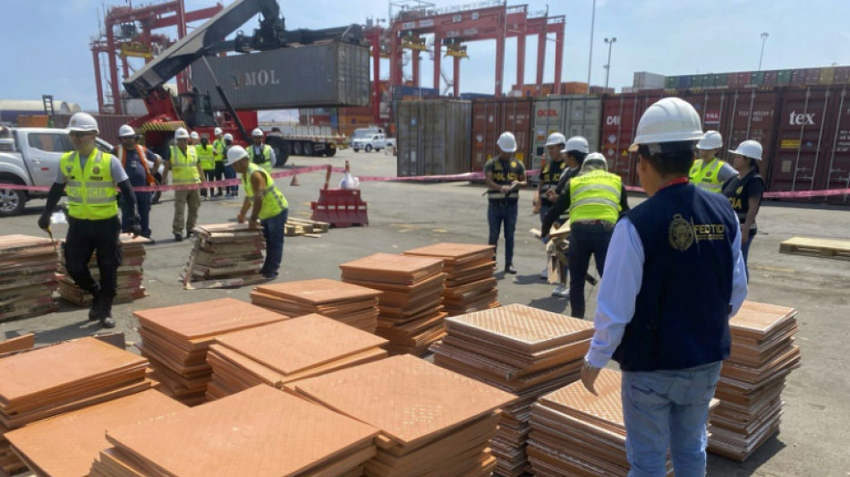 Per&uacute; decomisa 2,3 toneladas de coca&iacute;na en cargamento de may&oacute;licas que iban a Turqu&iacute;a