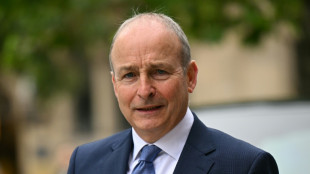 El primer ministro irland&eacute;s apoya a su seleccionador tras sus cr&iacute;ticas a Israel