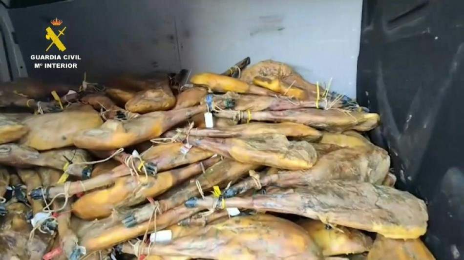 Dois detidos na Espanha por roubarem centenas de presuntos ib&eacute;ricos