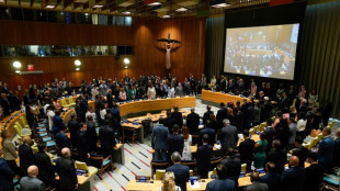 "No hay alternativa" a soluci&oacute;n de dos Estados en conflicto israelo-palestino, afirma Francia