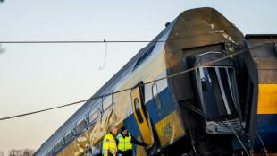 Un muerto y decenas de heridos en accidente de tren en Pa&iacute;ses Bajos