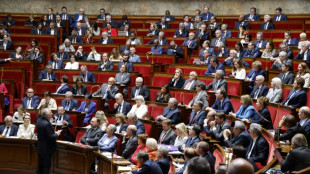 Frankreich erl&auml;sst sch&auml;rferes Gesetz zur Bek&auml;mpfung der Drogenkriminalit&auml;t 