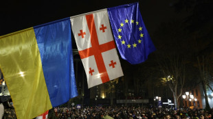 G&eacute;orgie : des milliers de manifestants pro-UE dans les rues pour la quatri&egrave;me nuit cons&eacute;cutive