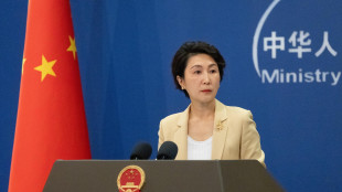 Cina, 'contrari alle interferenze straniere in Iran'