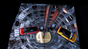 Germany brings back electric car subsidies to boost market