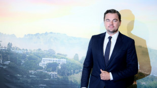 Bolsonaro ironise sur l'appel &agrave; voter de DiCaprio &agrave; la jeunesse br&eacute;silienne