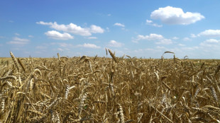 El primer cargamento de grano ucraniano partir&aacute; de Odesa el lunes a las 05H30 GMT