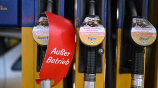 Alemania recurre al carb&oacute;n ante la disminuci&oacute;n del gas ruso