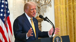 US-EU tariff talks progress as Trump announces Japan deal