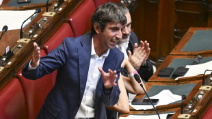 Donzelli a opposizioni, niente preferenze vittoria tutta vostra. Scintile in Aula