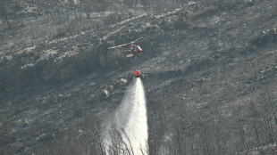 L'incendie de l'Aude "pas maîtrisé" avant dimanche soir 