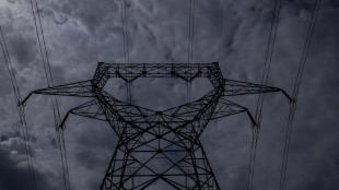 Ue, 'in Italia prezzi dell'elettricit&agrave; pi&ugrave; alti tra i 27 nel 2025'