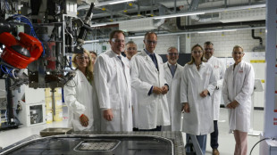 Germany must move quicker on reforms, say experts