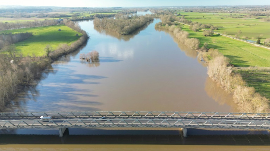 &Ouml;sterreich will f&uuml;r EU-Renaturierungsgesetz stimmen - N&ouml;tige Mehrheit greifbar