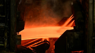 Hilfen f&uuml;r die Industrie: EU-Kommission schl&auml;gt Ausweitung der Stahlz&ouml;lle vor 