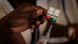 Paludisme: la vaccination &agrave; grande &eacute;chelle en Afrique "va bient&ocirc;t commencer", affirme Gavi