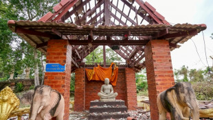 Cambodia calls for ceasefire with Thailand: envoy to UN