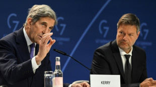 El G7 promete un sector el&eacute;ctrico "mayoritariamente descarbonizado" para 2035
