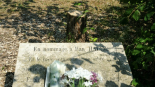 Enqu&ecirc;te ouverte apr&egrave;s l'abattage d'un olivier &agrave; la m&eacute;moire d'Ilan Halimi, indignation unanime