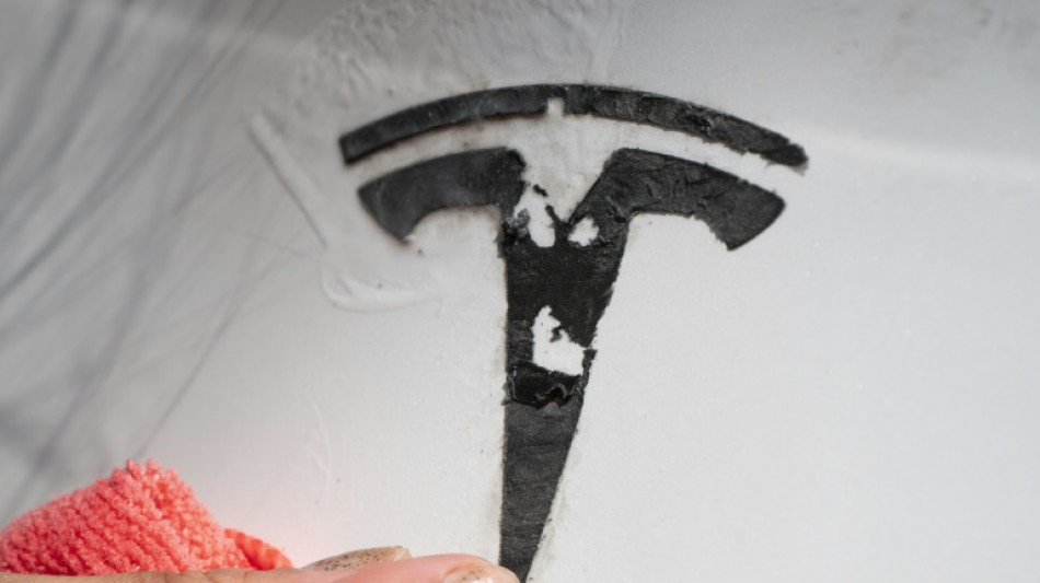 Acusan a un hombre por un ataque a Tesla en medio de la ola de repudio contra Musk en EEUU