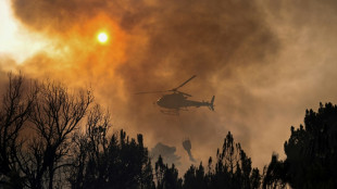Le changement climatique a multiplié par 40 la probabilité de vagues de chaleur comme celle en Espagne et au Portugal
