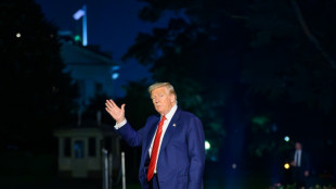 Trump says pharma, chips tariffs incoming as trade war widens