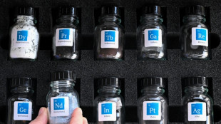 What are 'rare earths' for?