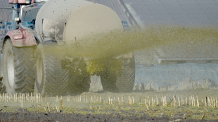 G&uuml;lle in Pool von Ferienhaus geweht: Landwirt haftet f&uuml;r Verschmutzung