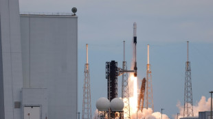 Llegan cuatro nuevos tripulantes a la Estaci&oacute;n Espacial Internacional