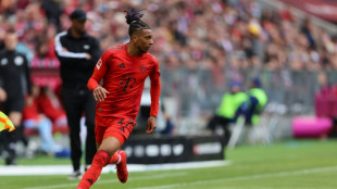 Leverkusen win to delay Bayern and Kane's title party