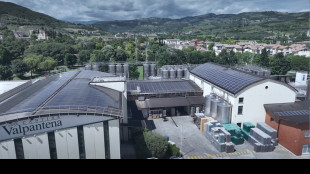 Per Cantine di Verona ricavi a 58,3 milioni (+1,57%) nel 2024/25