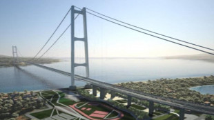 Ue, 'sul Ponte osservazioni ambientali, Roma collabora'