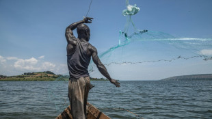 Le Nil, de l'Egypte &agrave; l'Ouganda, chronique d'un ass&egrave;chement annonc&eacute;