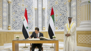 Assad chega &agrave; Ar&aacute;bia Saudita para participar de c&uacute;pula &aacute;rabe