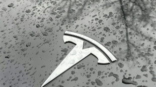 Tesla recorta los precios de sus veh&iacute;culos hasta un 20% en EEUU y Europa