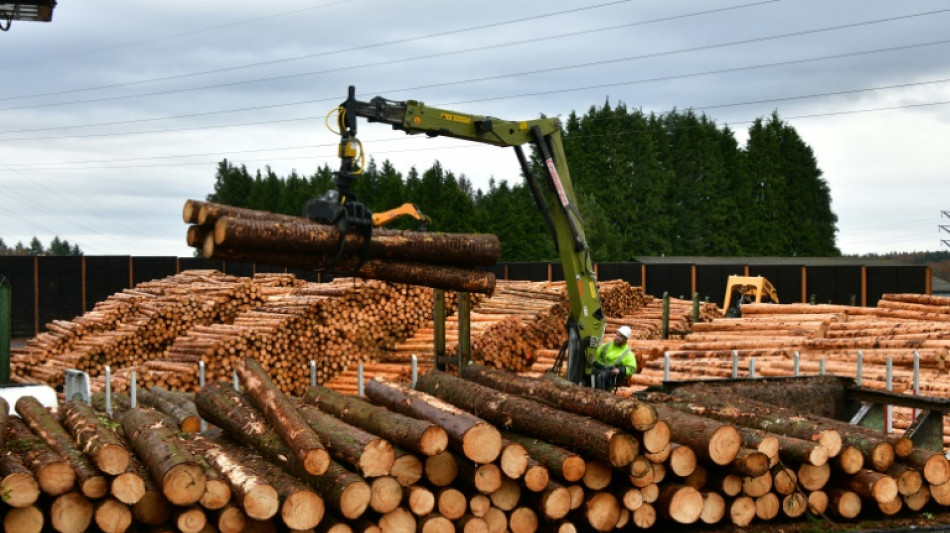 En Corr&egrave;ze, bataille autour de l'extension d'une scierie