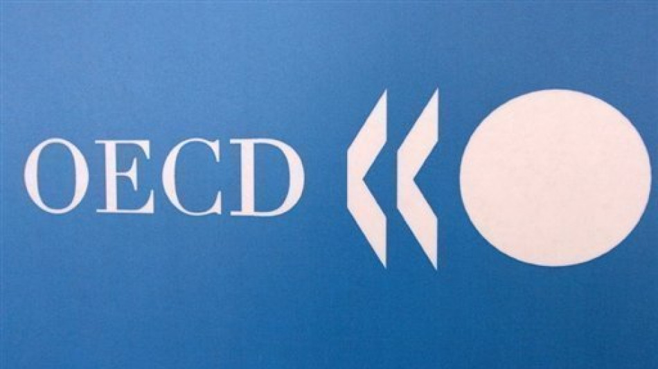 OCDE destaca papel do setor p&uacute;blico como motor de investimento na AL