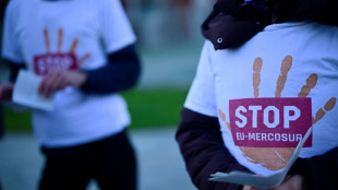 UE promete controlar melhor as importações agrícolas antes de qualquer acordo final com o Mercosul