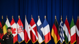 Verteidigungsminister beraten in Br&uuml;ssel &uuml;ber Abwehrbereitschaft und Ukraine