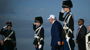 Suspendue &agrave; Trump, l'Otan lui d&eacute;roule le tapis rouge