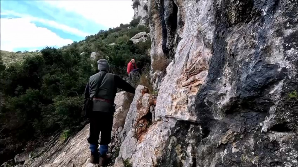 Bibi, il dinosauro sardo sconosciuto per 165 milioni di anni