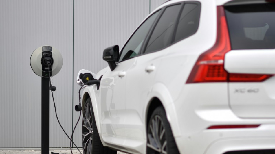 Volvo Cars abrir&aacute; una planta en Europa por primera vez en 60 a&ntilde;os