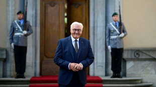 "Spiegel": Steinmeier schaltete sich in Koalitionsstreit ein