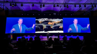 Climat: Al Gore juge "absurde" d'organiser les COP dans des "p&eacute;tro-Etats"