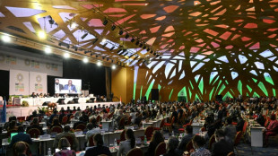 La COP15 se compromete a restaurar mil millones de hect&aacute;reas degradadas
