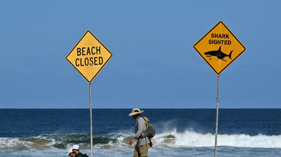 Junge in Australien bei Hai-Angriff lebensgef&auml;hrlich verletzt