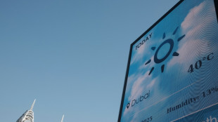 La moitié de l'humanité a subi un mois supplémentaire de canicule à cause du réchauffement, selon une étude