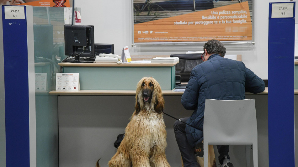 First Cisl, 7 miliardi di utili nel trimestre per le prime 5 banche